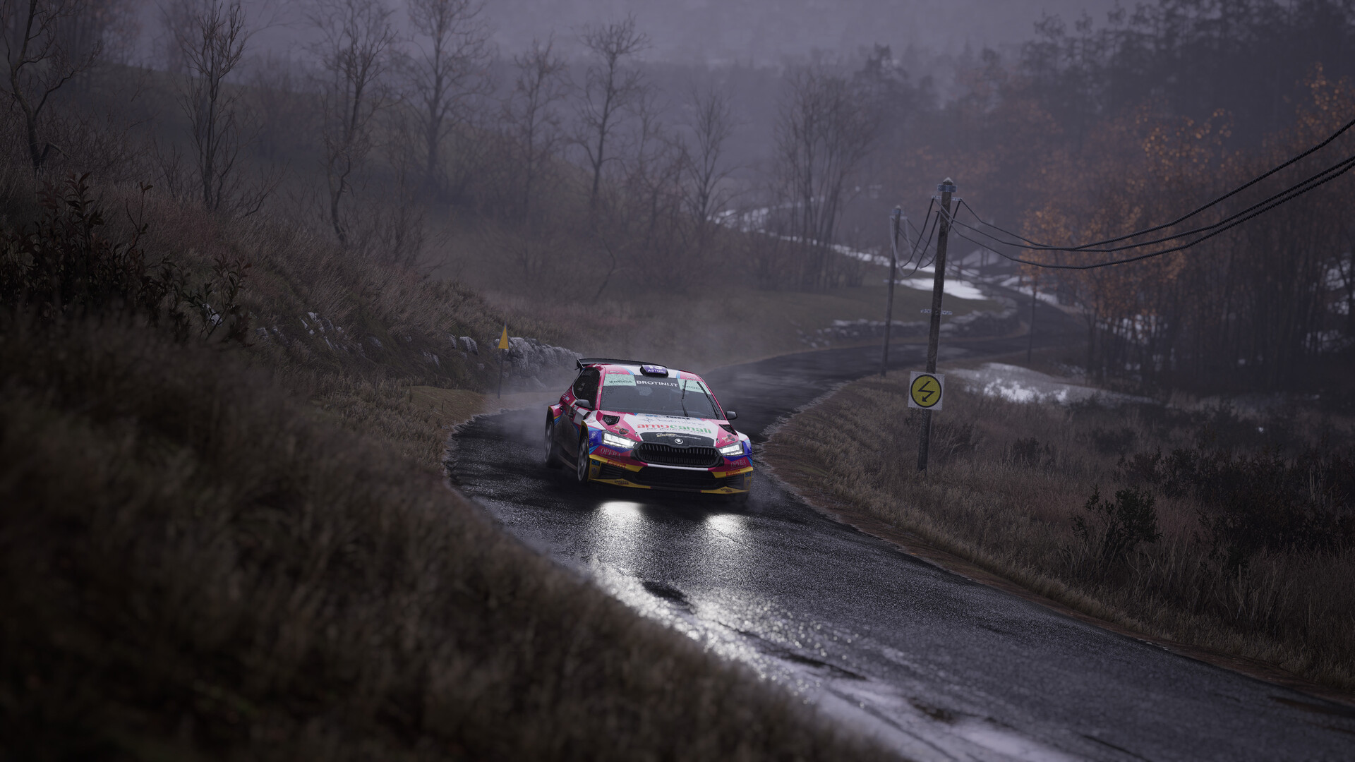 Assetto Corsa Rally