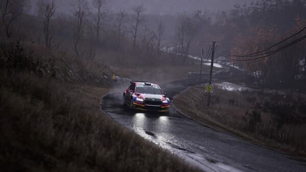 Assetto Corsa Rally screenshot 5