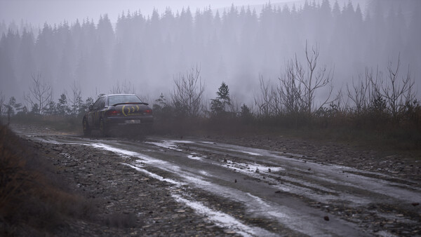 Assetto Corsa Rally screenshot 29