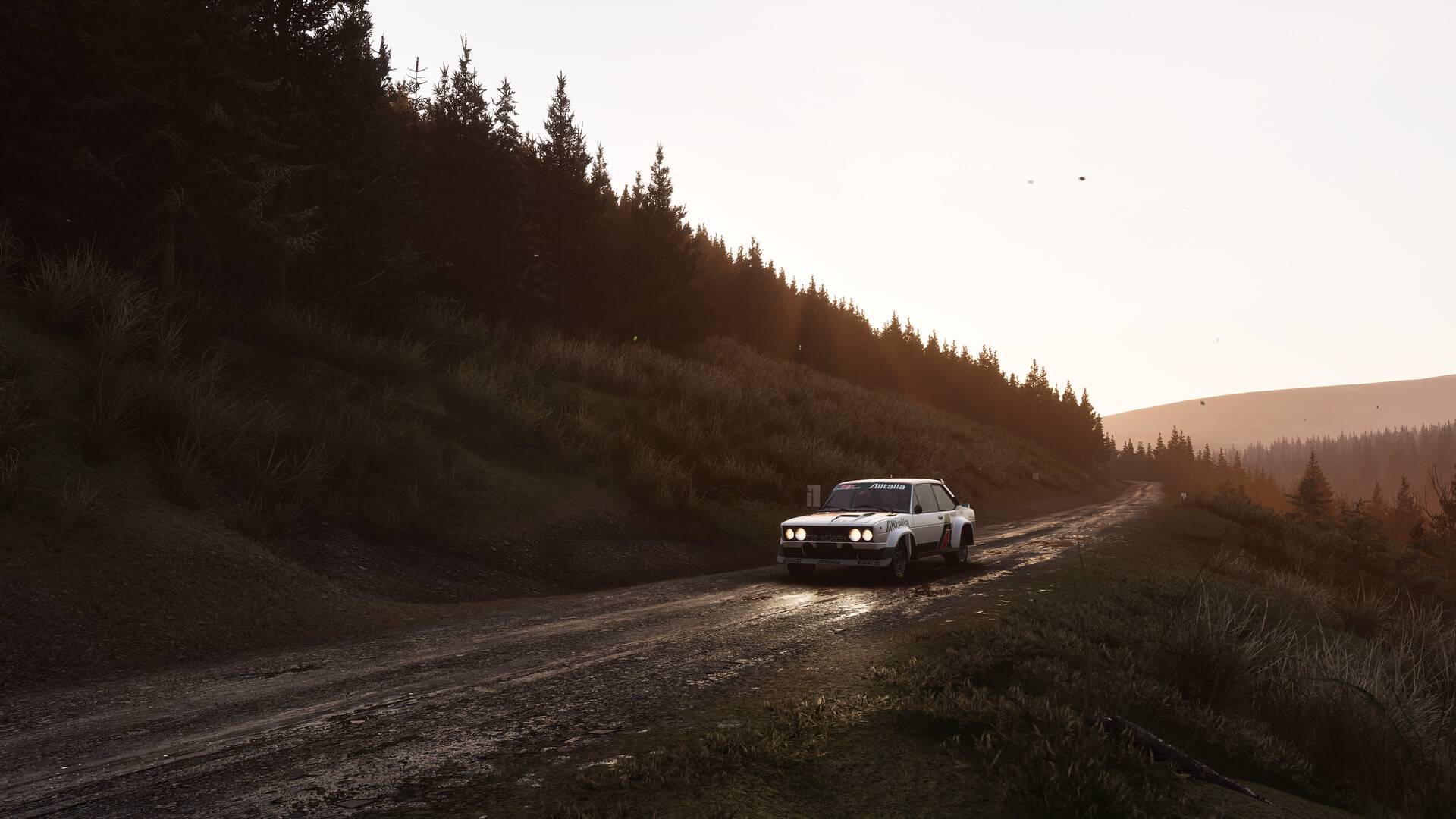 Assetto Corsa Rally screenshot 115