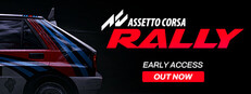 246.Assetto Corsa Rally