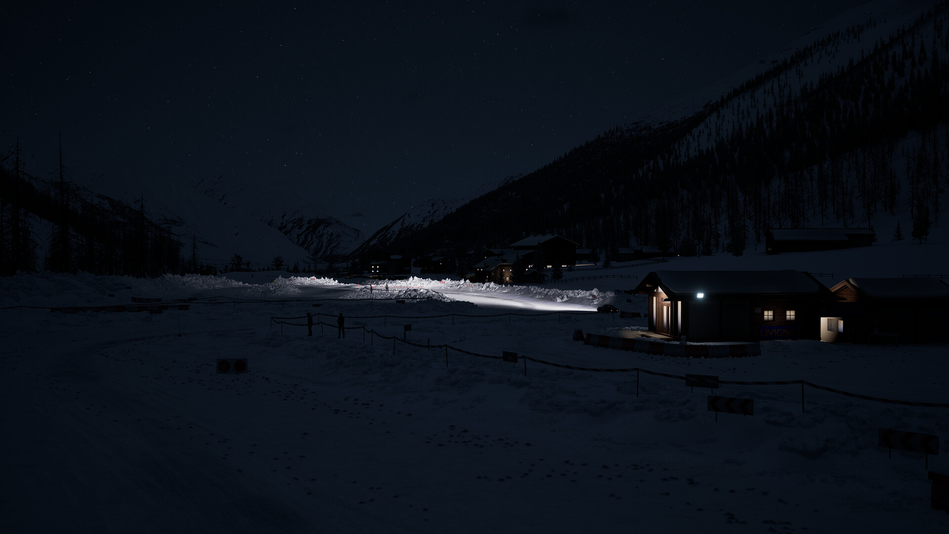 Assetto Corsa Rally screenshot #13