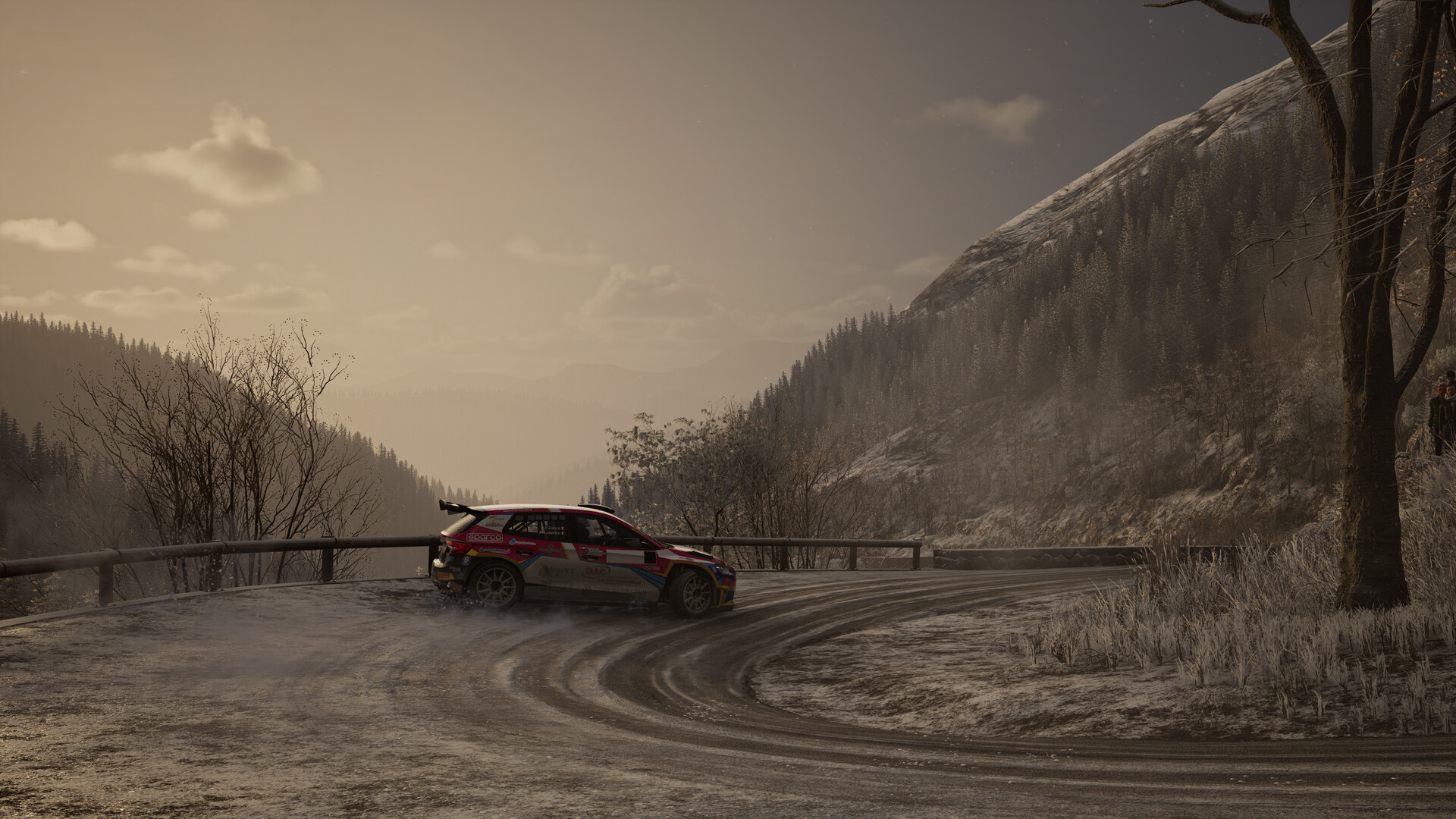 Assetto Corsa Rally