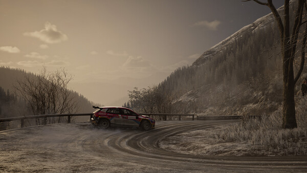 Assetto Corsa Rally.