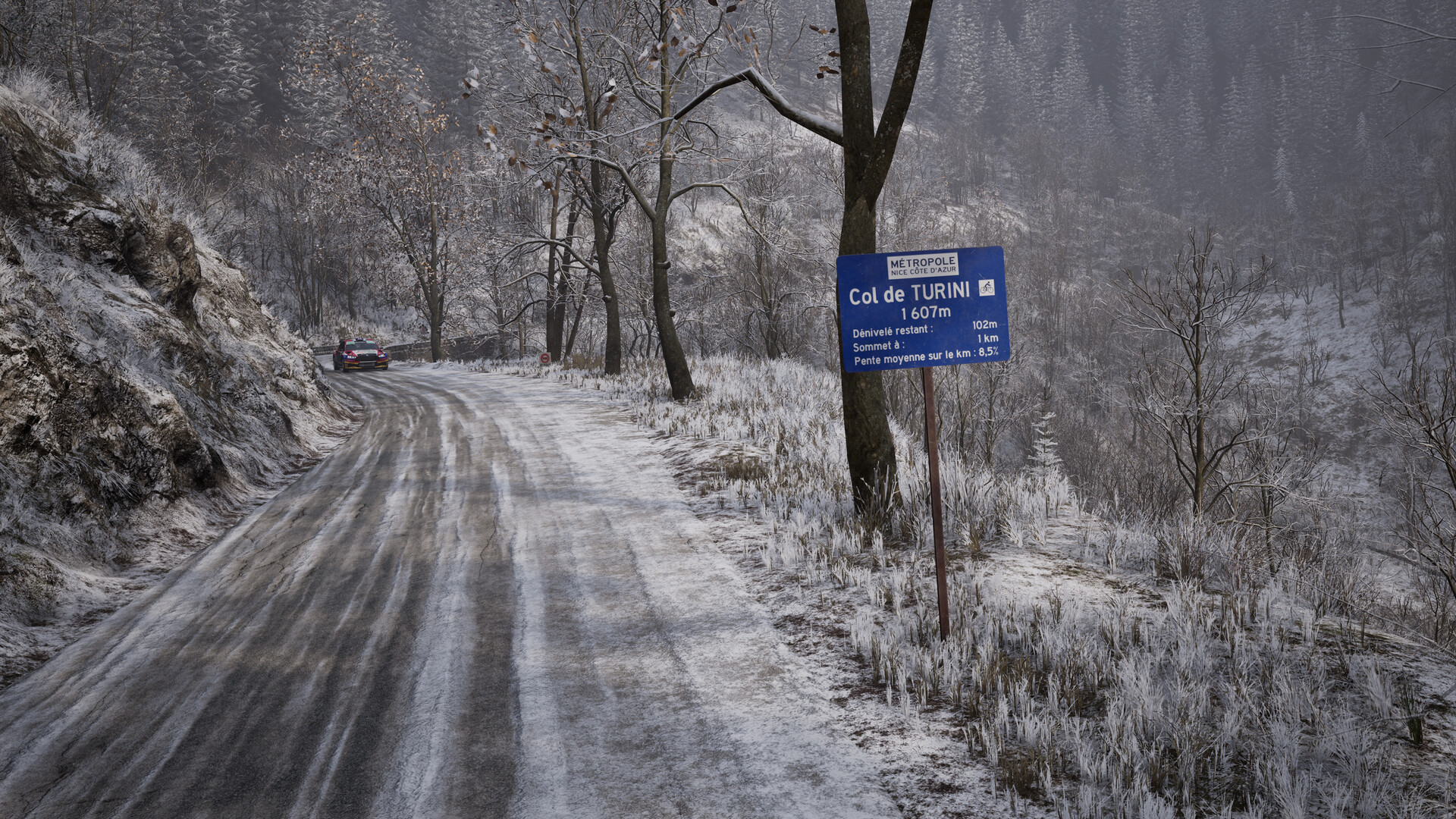Assetto Corsa Rally