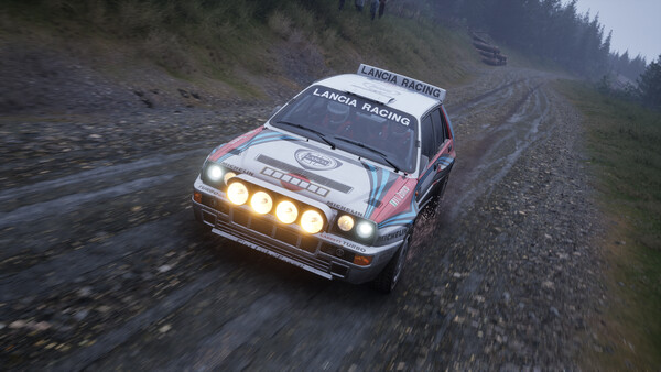 Скриншот из Assetto Corsa Rally Скриншот из Assetto Corsa Rally