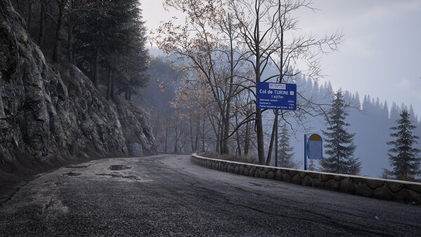 Assetto Corsa Rally.