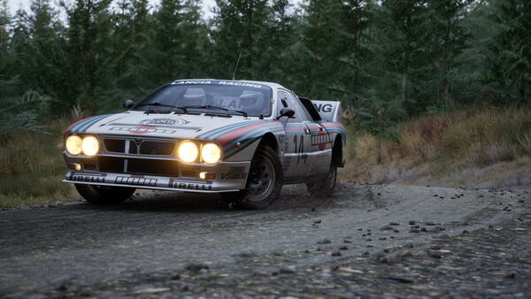 Assetto Corsa Rally.