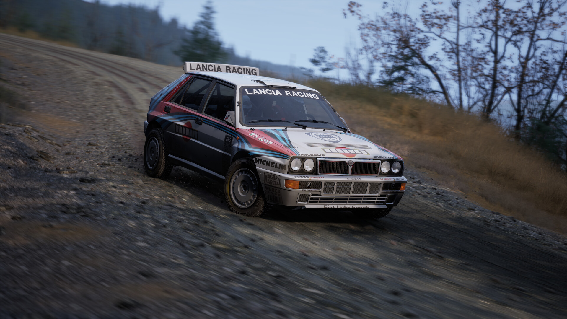 Assetto Corsa Rally screenshot #86