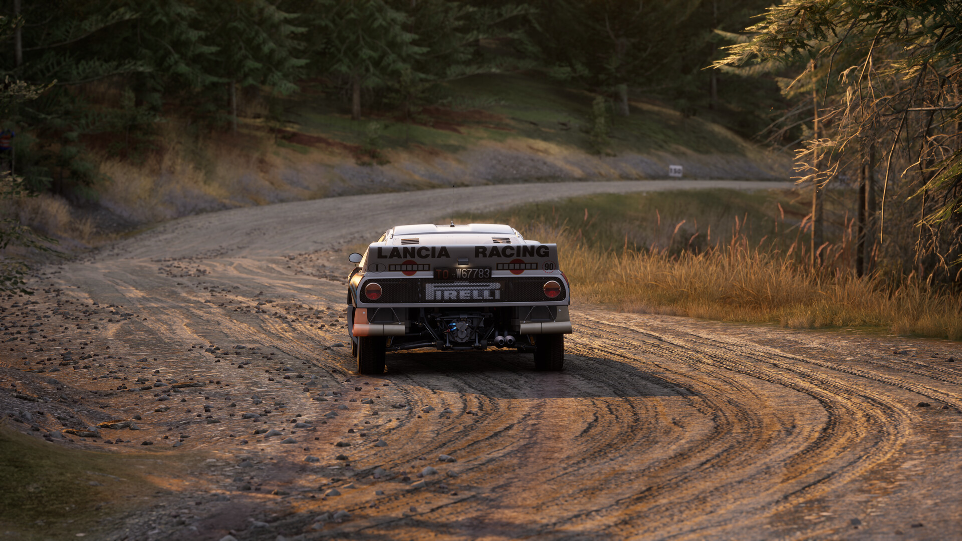 Assetto Corsa Rally screenshot #59