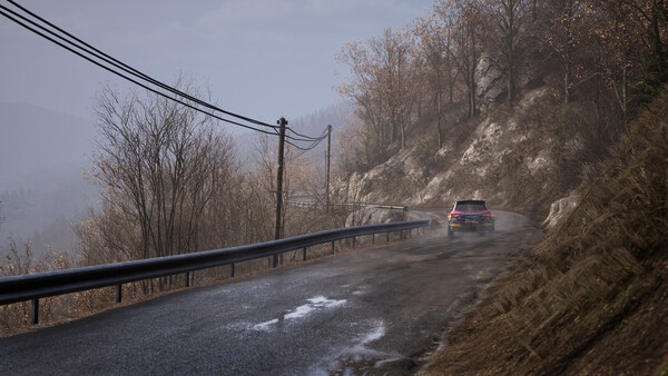 Assetto Corsa Rally.