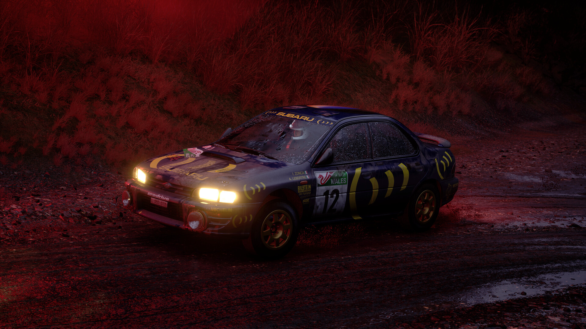 Assetto Corsa Rally screenshot 11