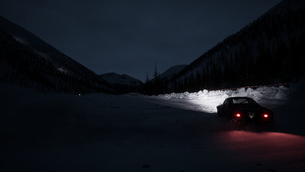 Assetto Corsa Rally.