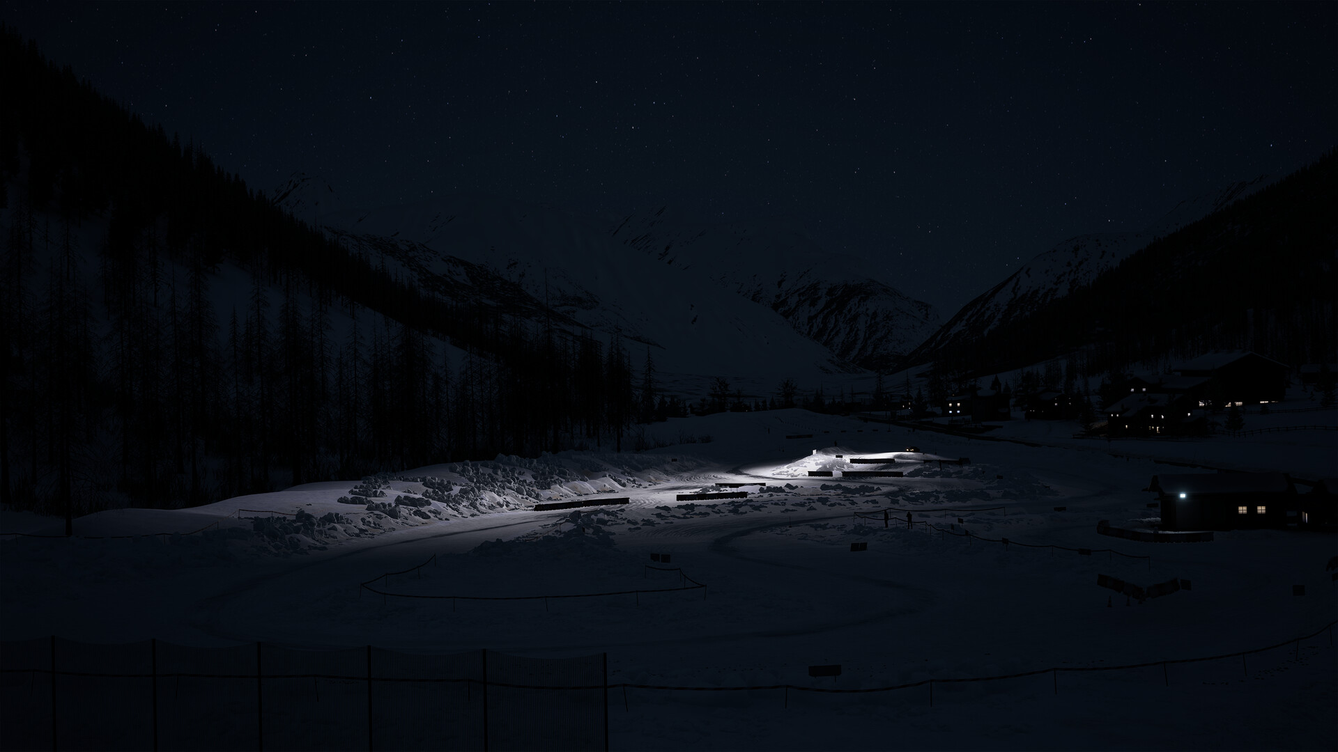 Assetto Corsa Rally screenshot #43