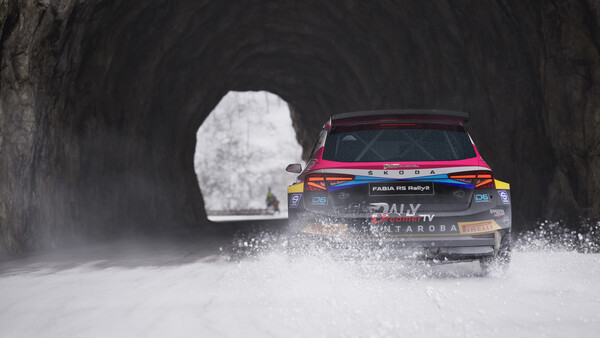 Assetto Corsa Rally screenshot 2