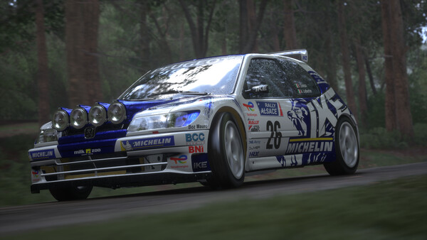 Assetto Corsa Rally Screenshot