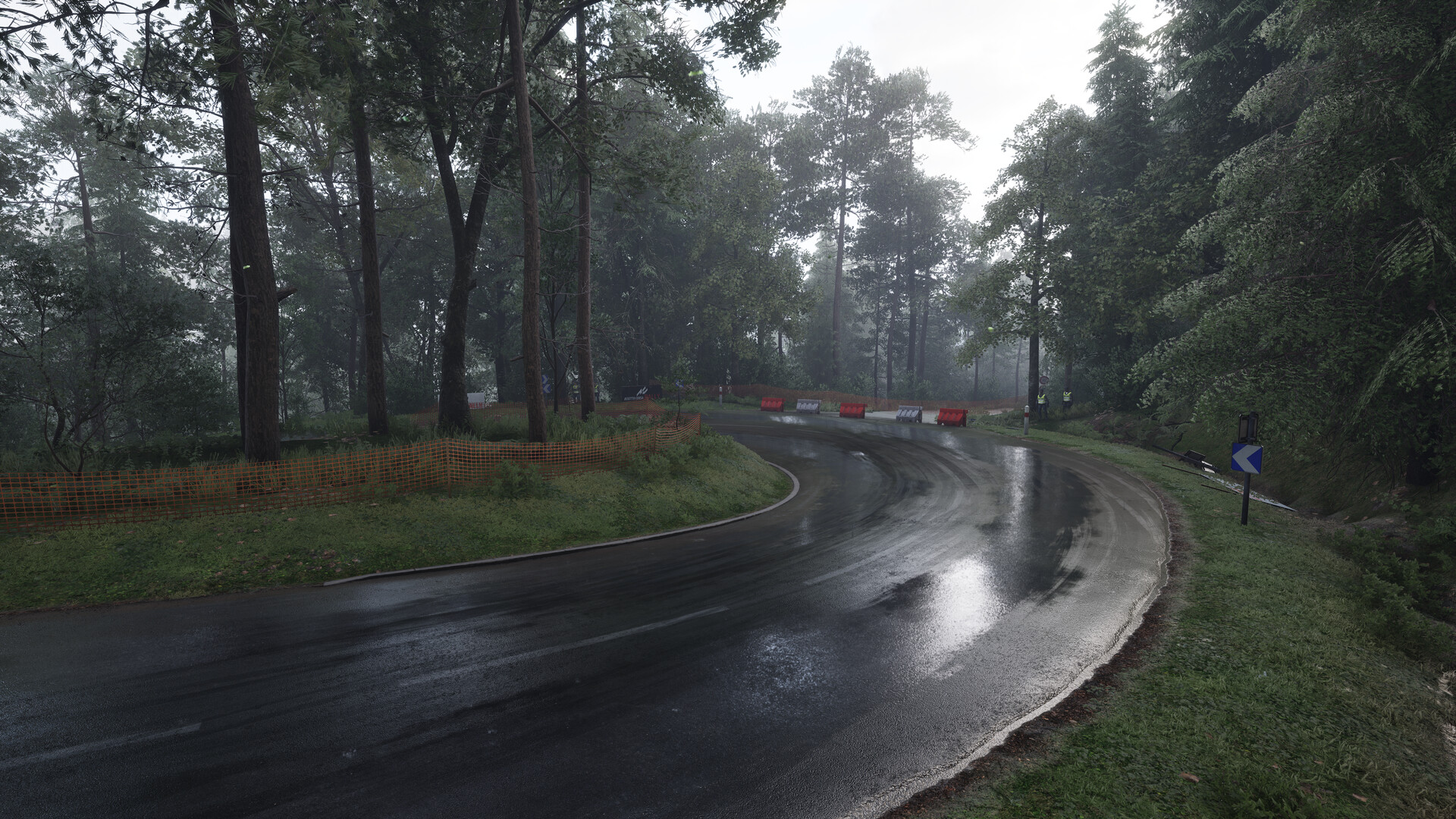 Assetto Corsa Rally screenshot #81