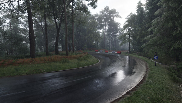 Скриншот из Assetto Corsa Rally Скриншот из Assetto Corsa Rally