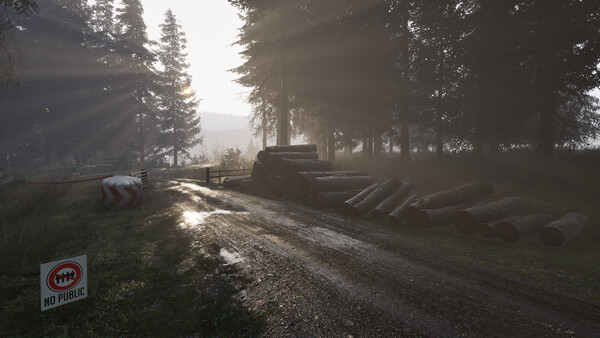 Скриншот из Assetto Corsa Rally Скриншот из Assetto Corsa Rally