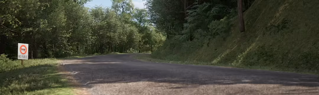 Assetto Corsa Rally video 1