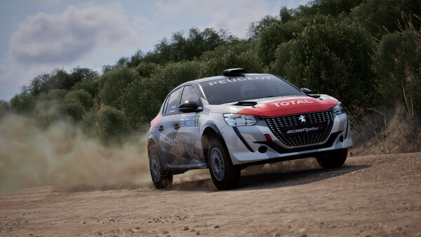 Assetto Corsa Rally screenshot 15
