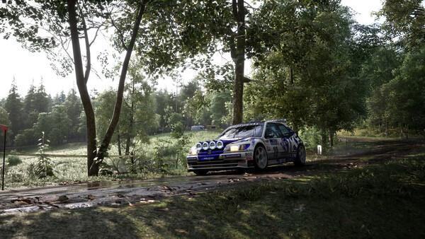 Assetto Corsa Rally Screenshot