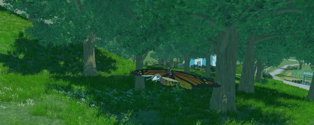 CICADA video 2