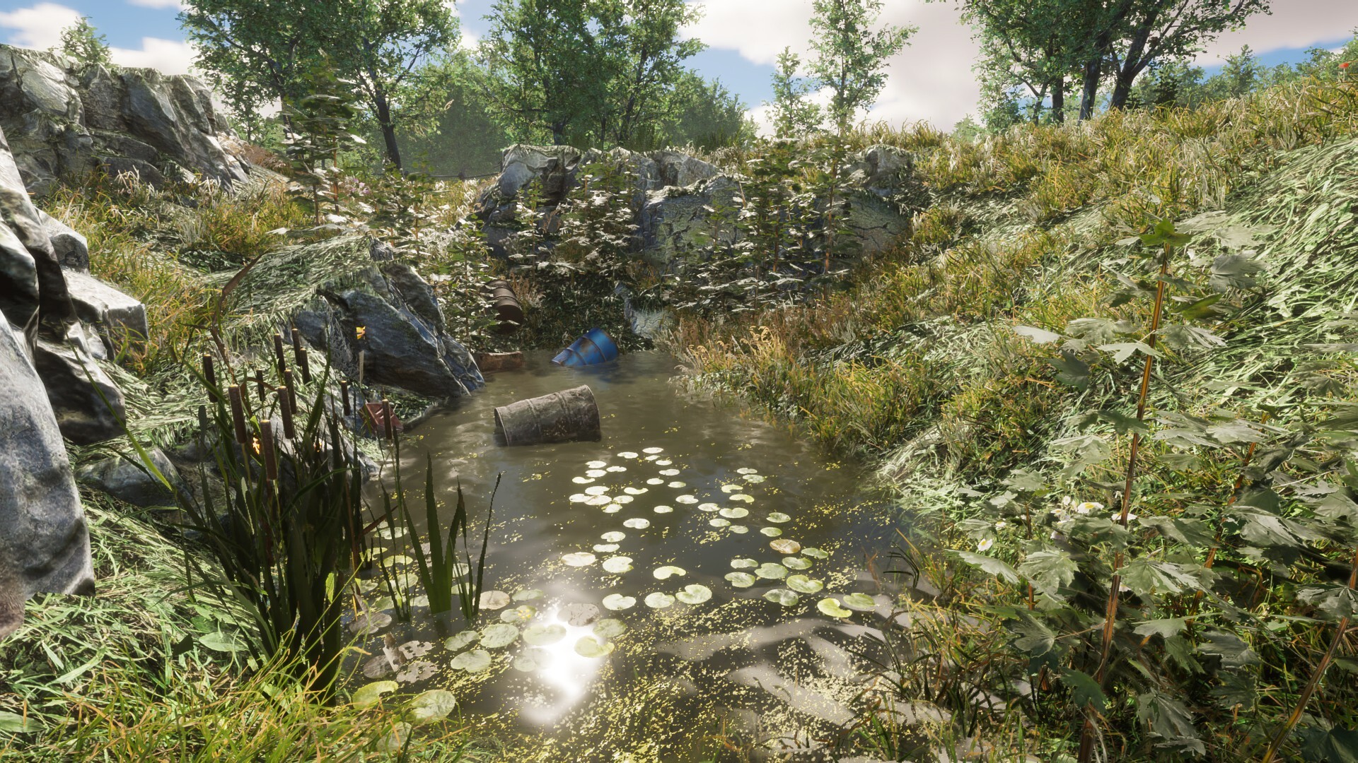 Eco Volunteer screenshot #15