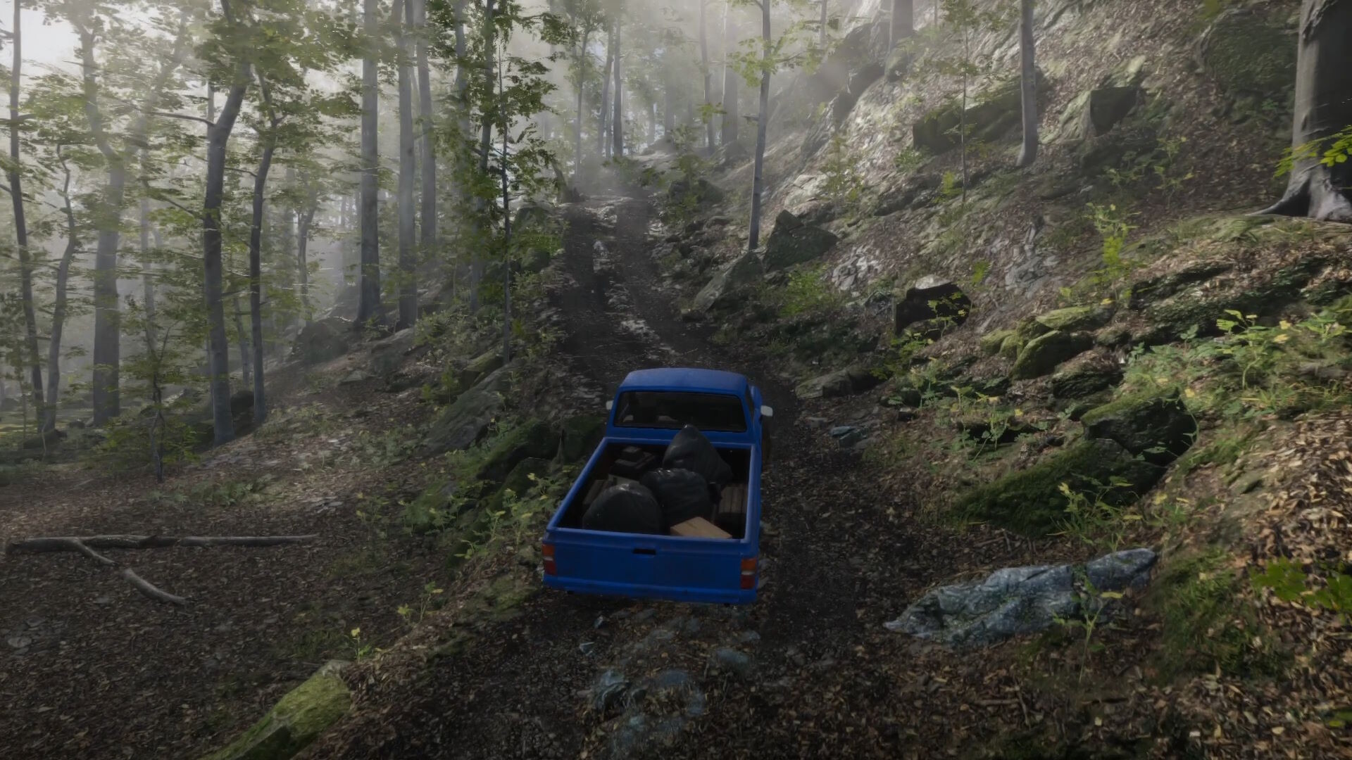 Eco Volunteer screenshot #21