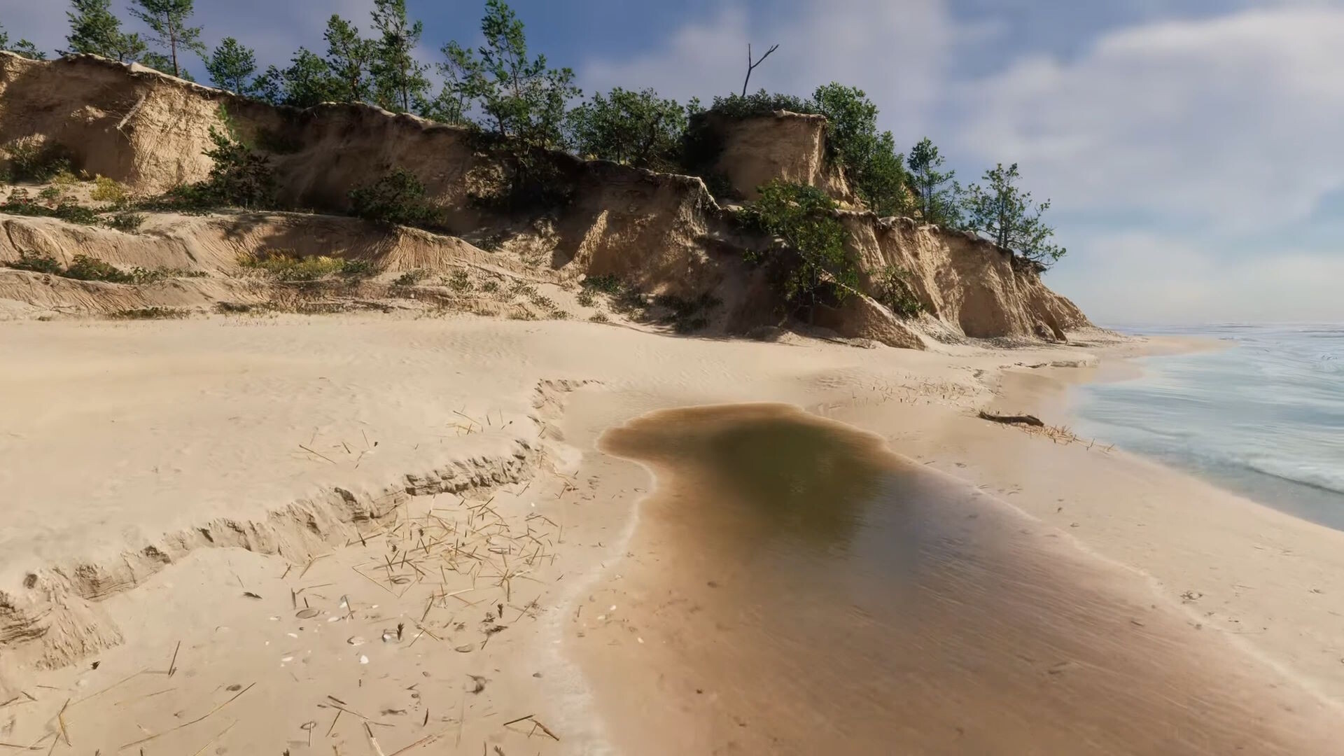 Eco Volunteer screenshot #20