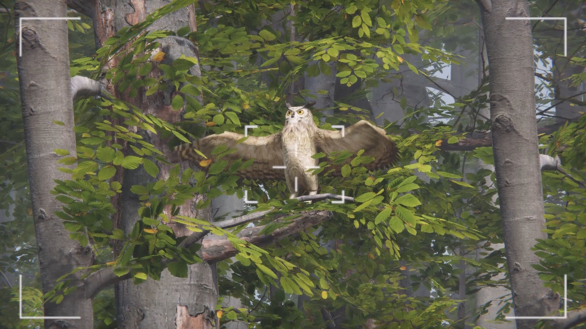 Eco Volunteer screenshot #17