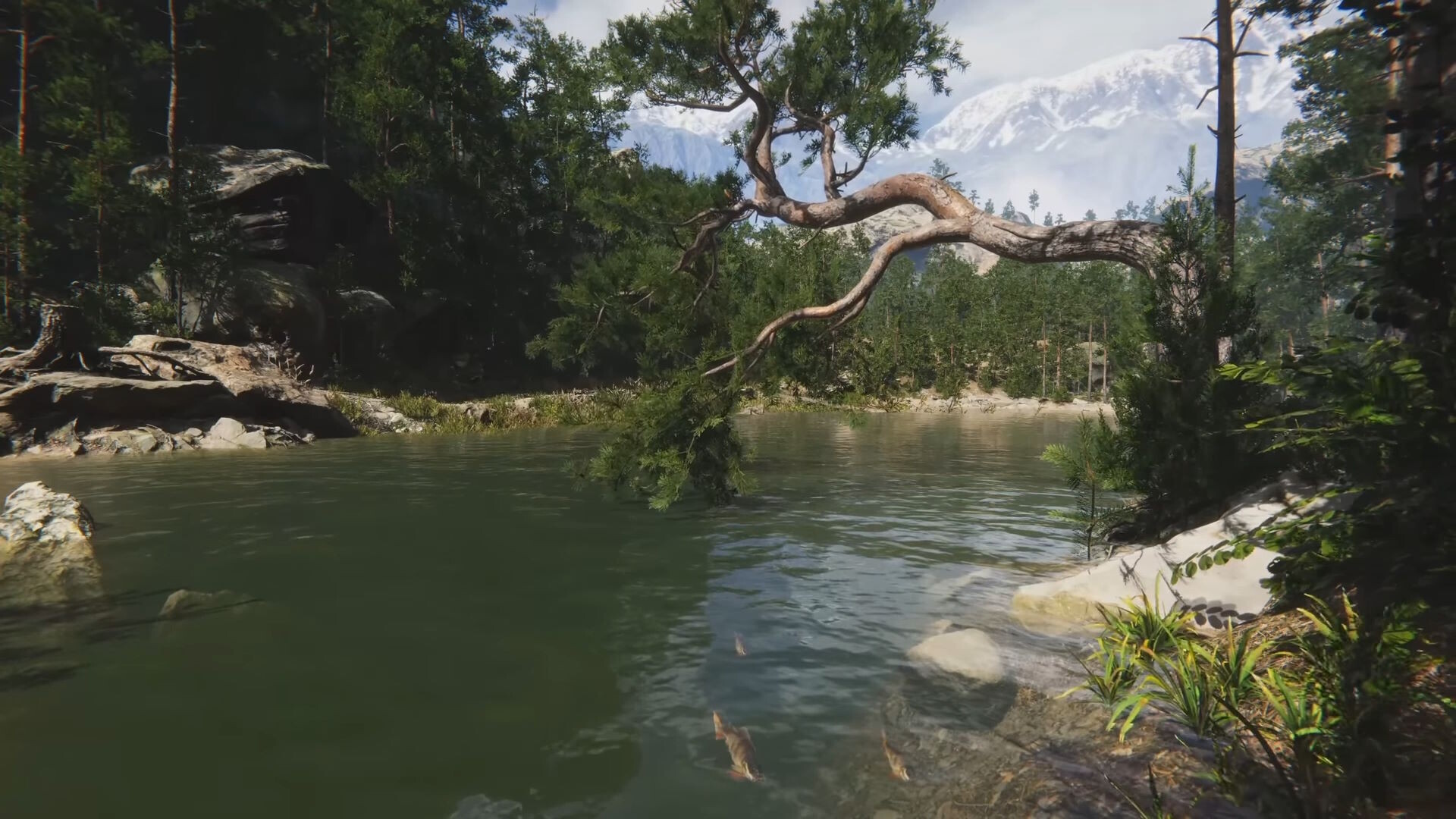 Eco Volunteer screenshot #18