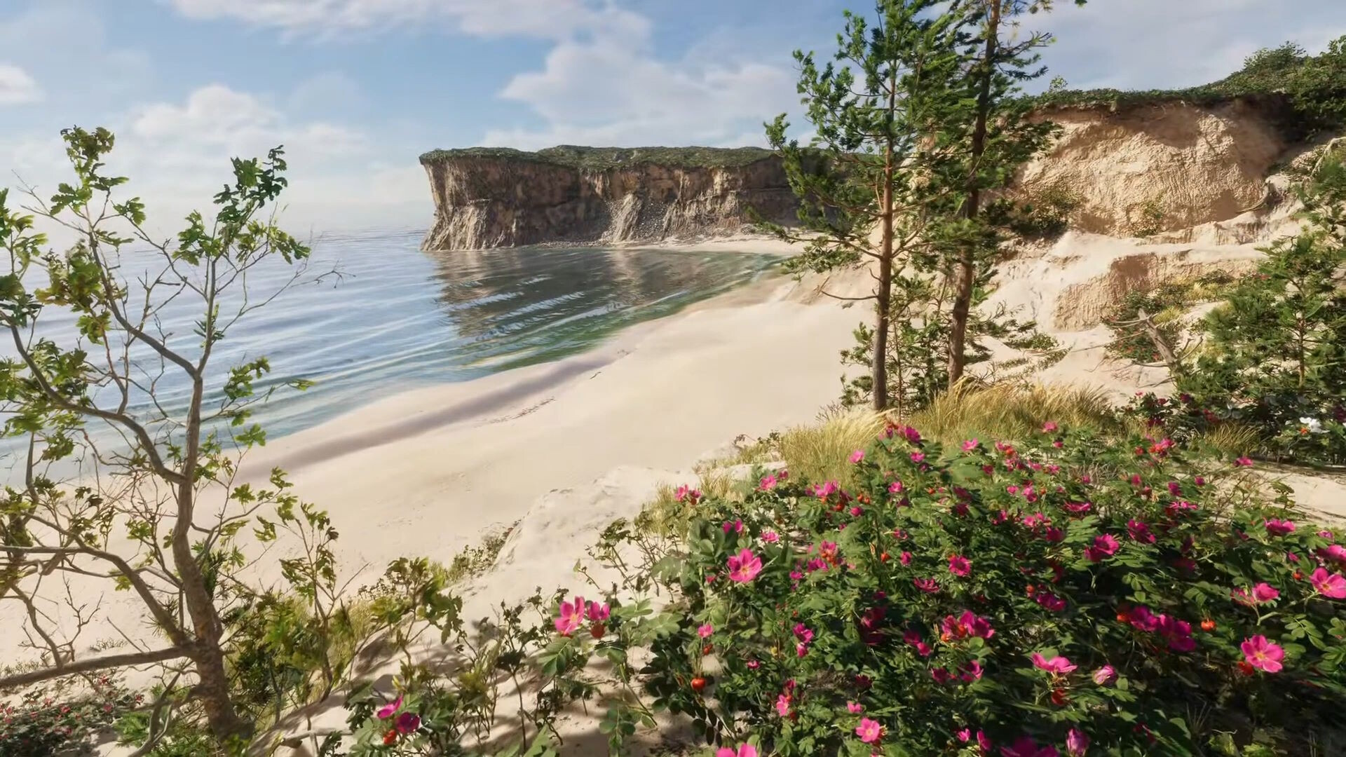 Eco Volunteer screenshot #15