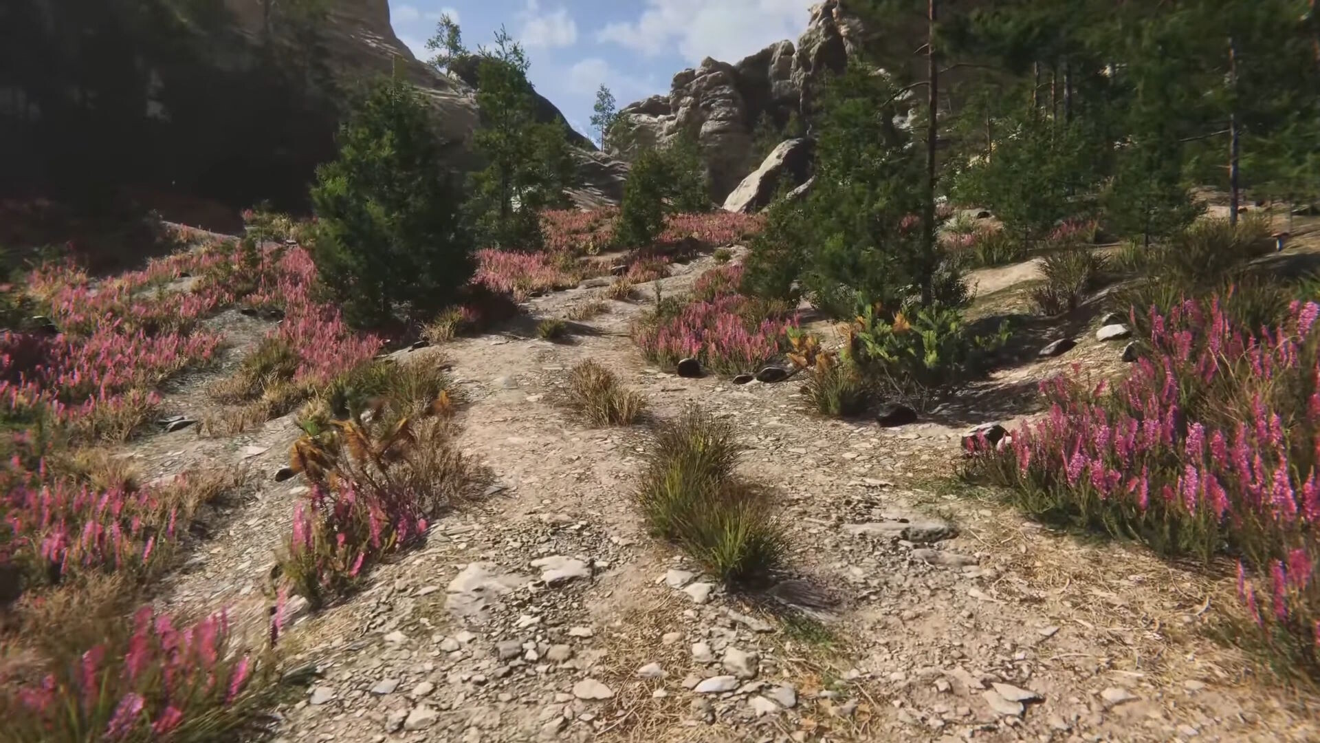 Eco Volunteer screenshot #17