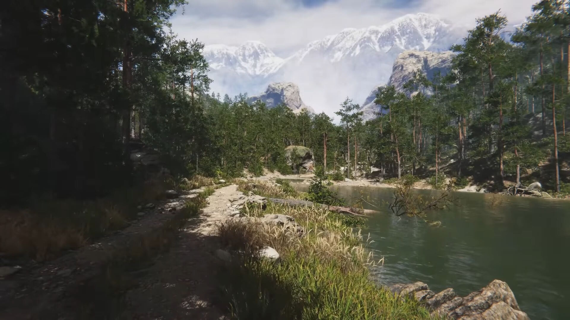 Eco Volunteer screenshot #16