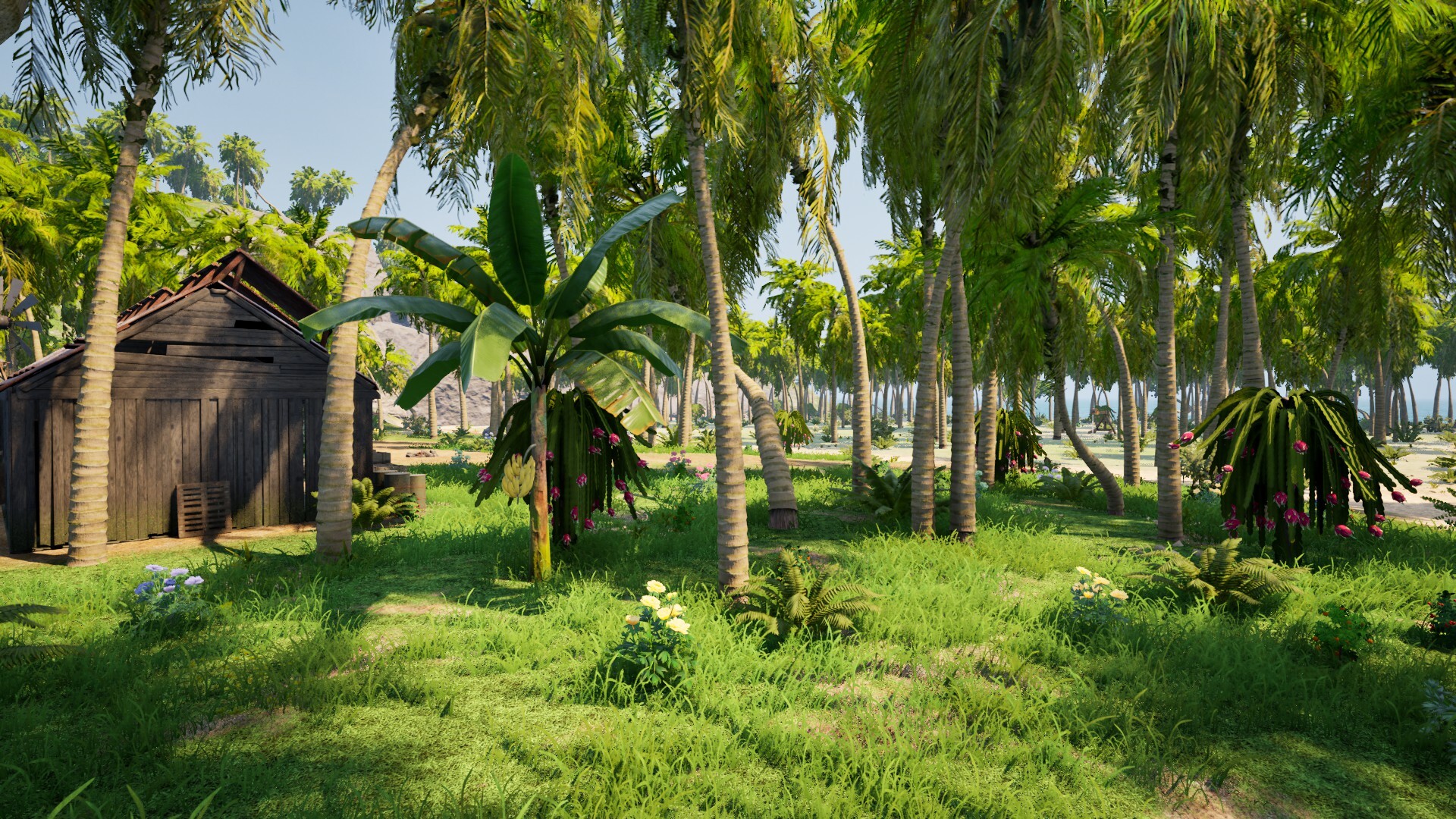 Dig Island screenshot screenshot 9