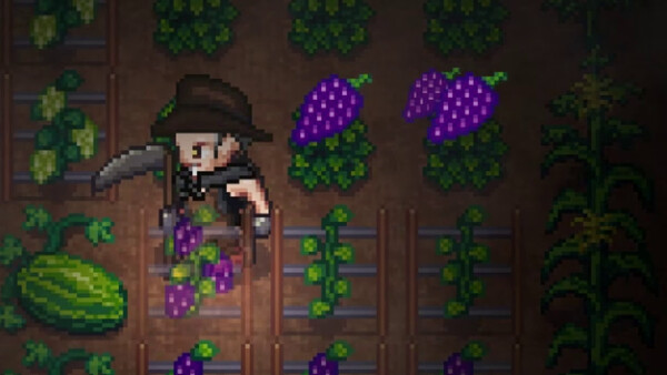 Fangs to Fields game for windows Pc 1