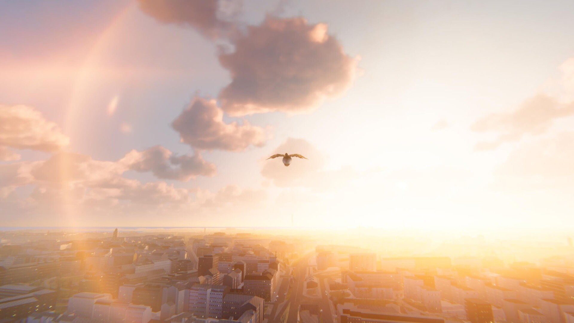 Rebirdh screenshot #2