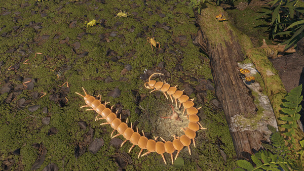 Centipede Simulator screenshot 4