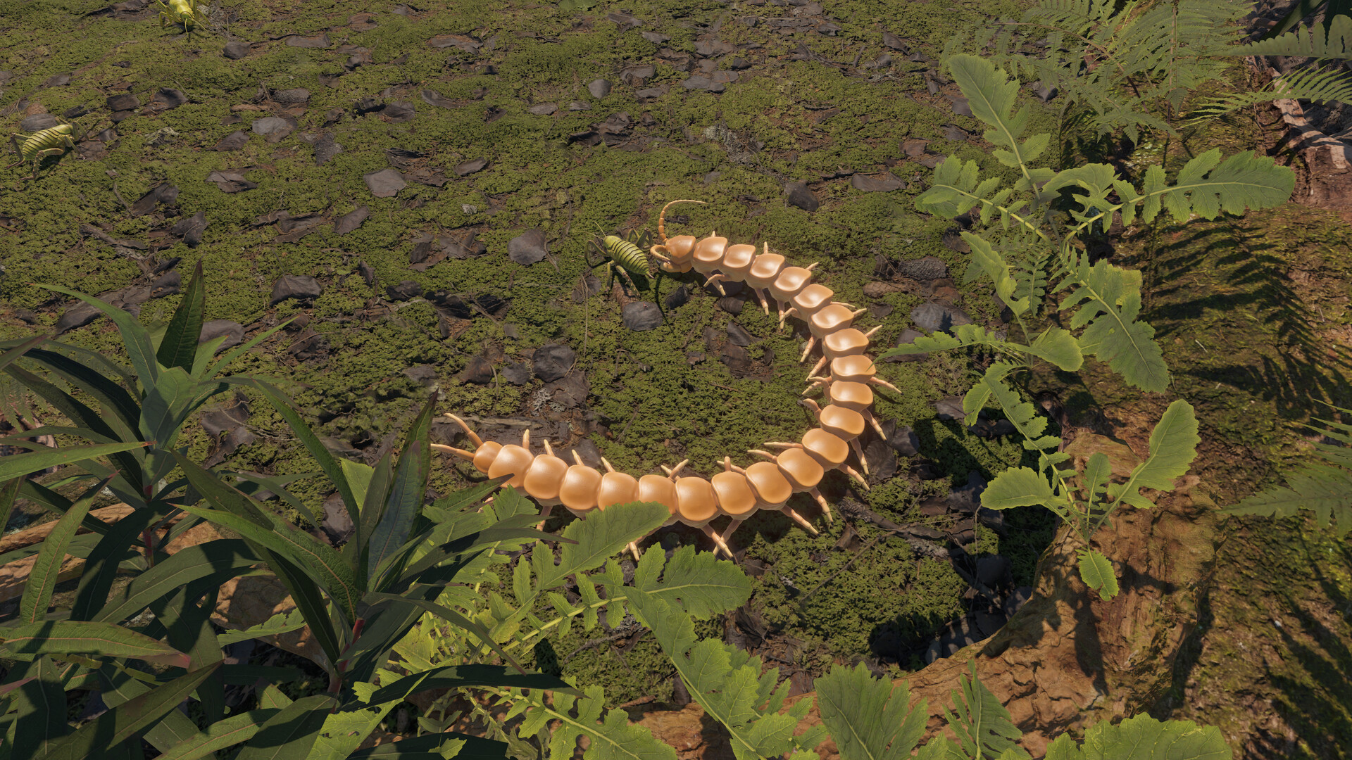 Centipede Simulator Featured Screenshot #1
