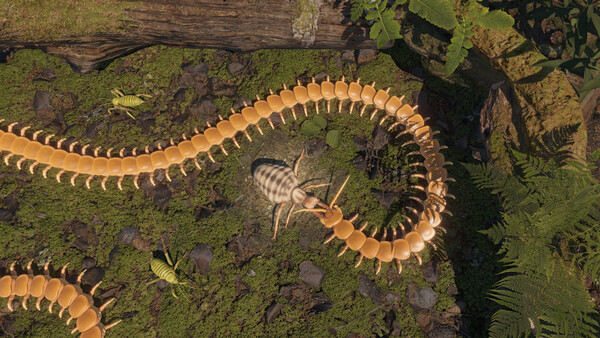 Centipede Simulator