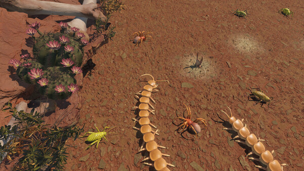 Centipede Simulator