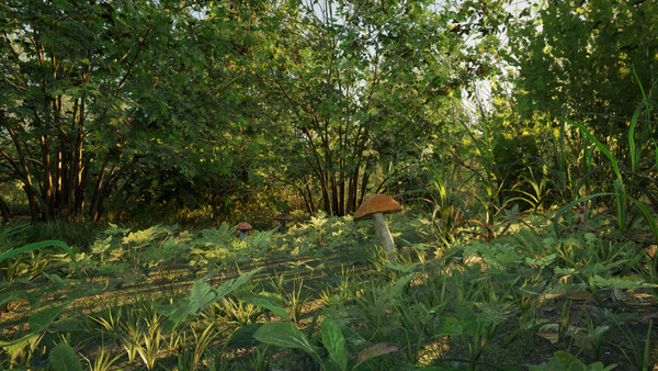 Скриншот из Forest Doesn’t Care Скриншот из Forest Doesn’t Care
