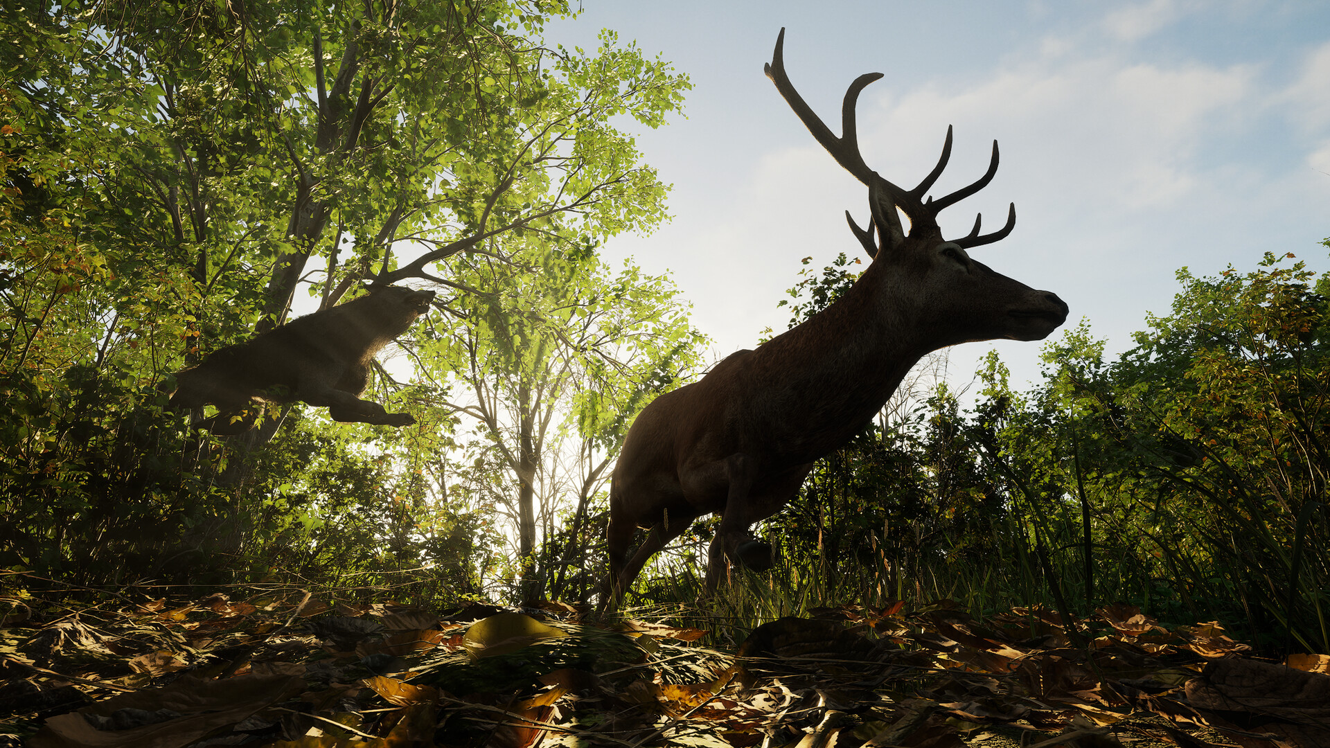 Forest Doesn’t Care screenshot 21