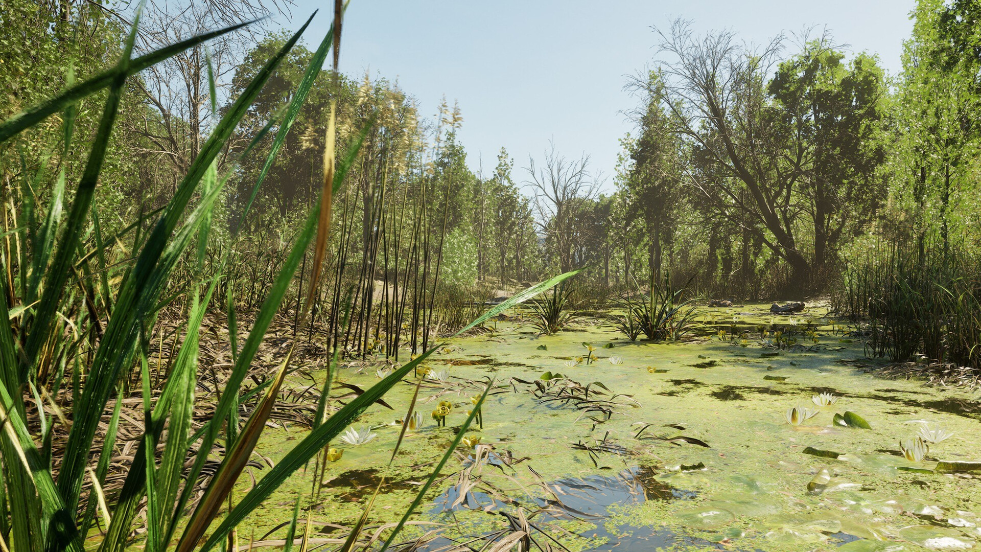 Forest Doesn’t Care screenshot 23