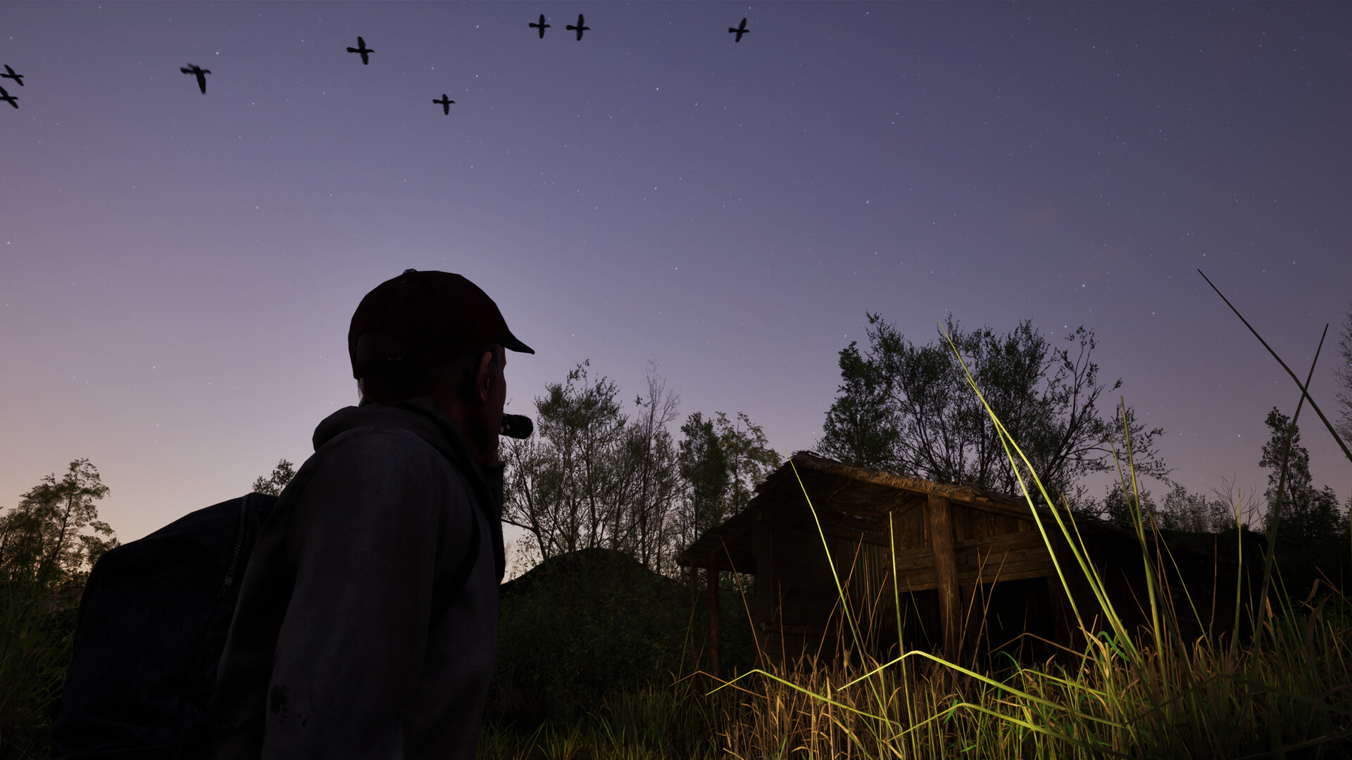 Forest Doesn’t Care screenshot #20