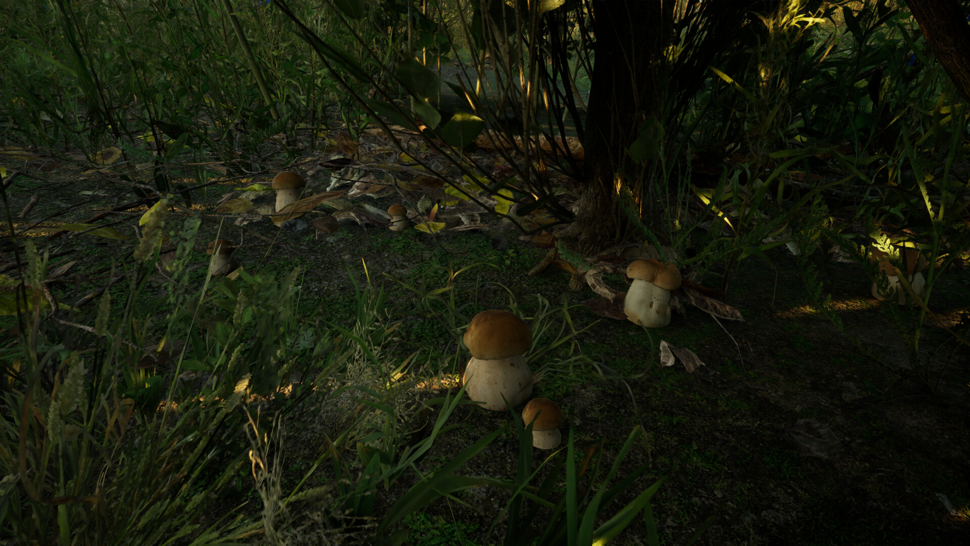Forest Doesn’t Care screenshot