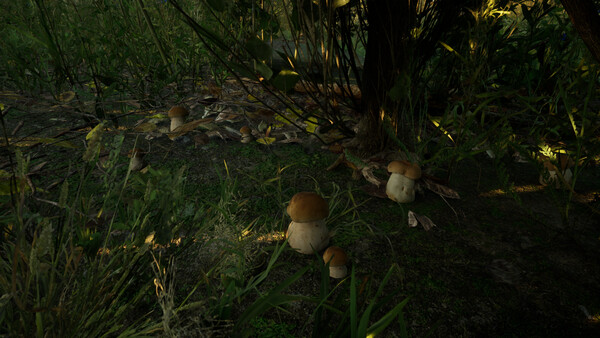 Forest Doesn’t Care screenshot 1