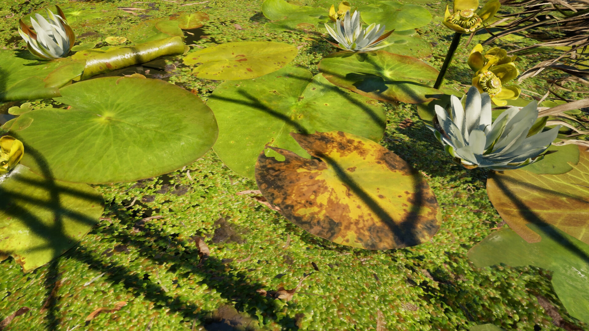 Forest Doesn’t Care screenshot #18