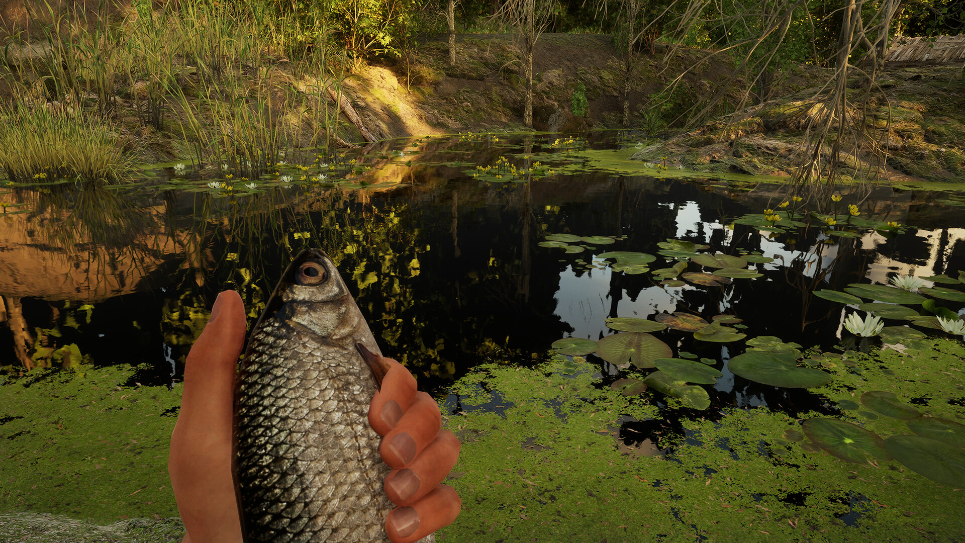 Forest Doesn’t Care screenshot #7